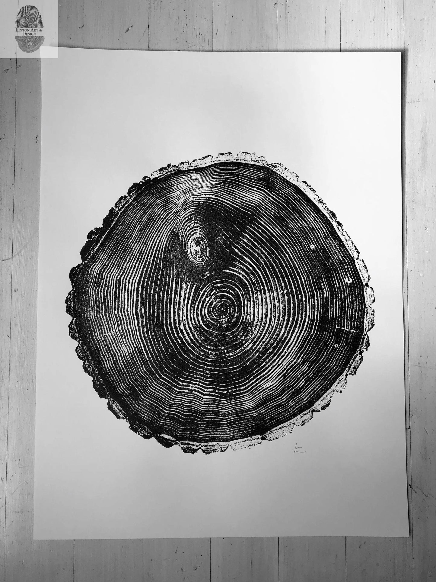 Maine Print, Balm of Gilead, Tree ring print, Maine Poster, Arcadia, Arborist, Forestry, Live Edge wood, Signed original lintonart