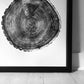 Maine Print, Balm of Gilead, Tree ring print, Maine Poster, Arcadia, Arborist, Forestry, Live Edge wood, Signed original lintonart