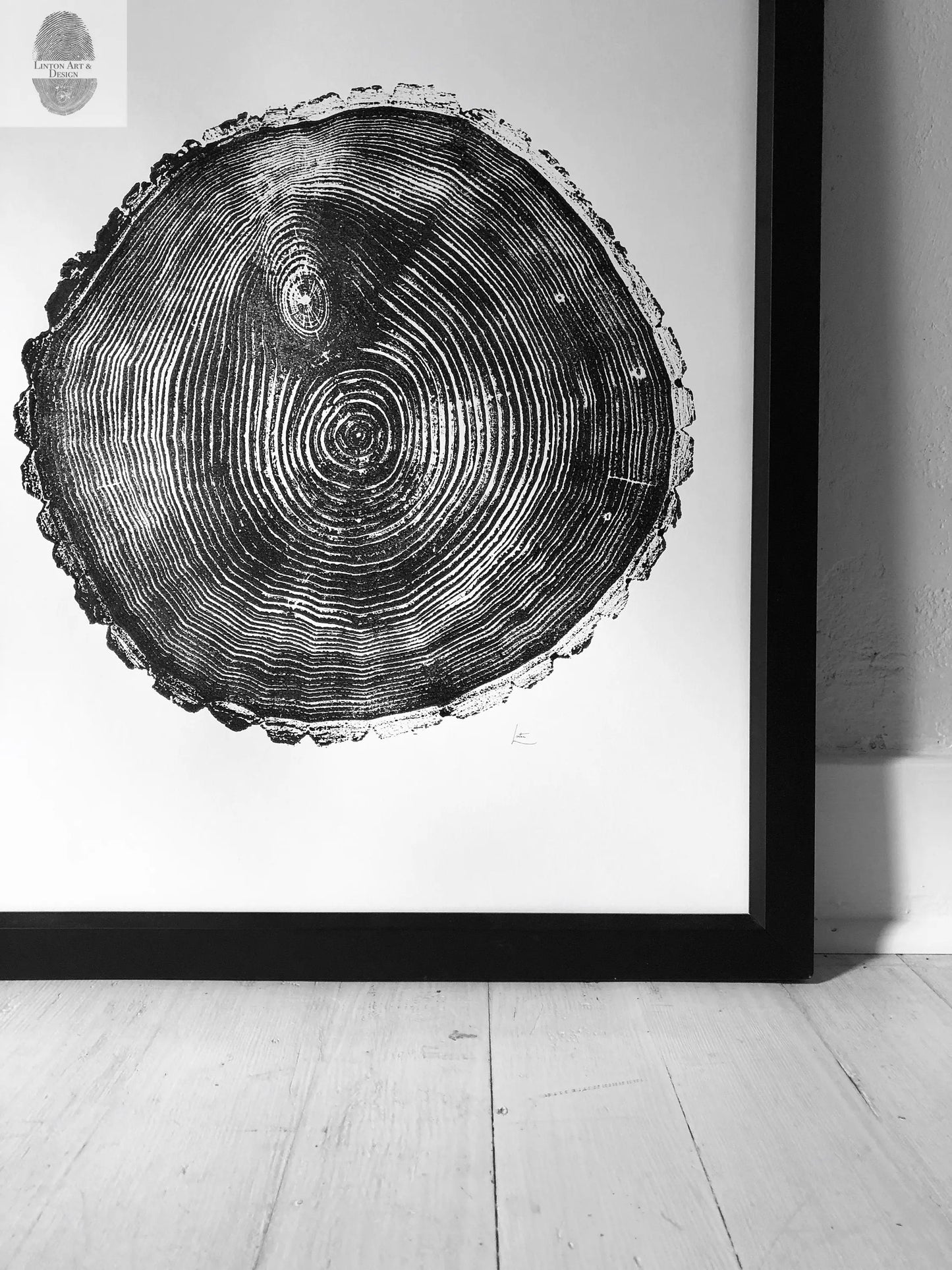 Maine Print, Balm of Gilead, Tree ring print, Maine Poster, Arcadia, Arborist, Forestry, Live Edge wood, Signed original lintonart