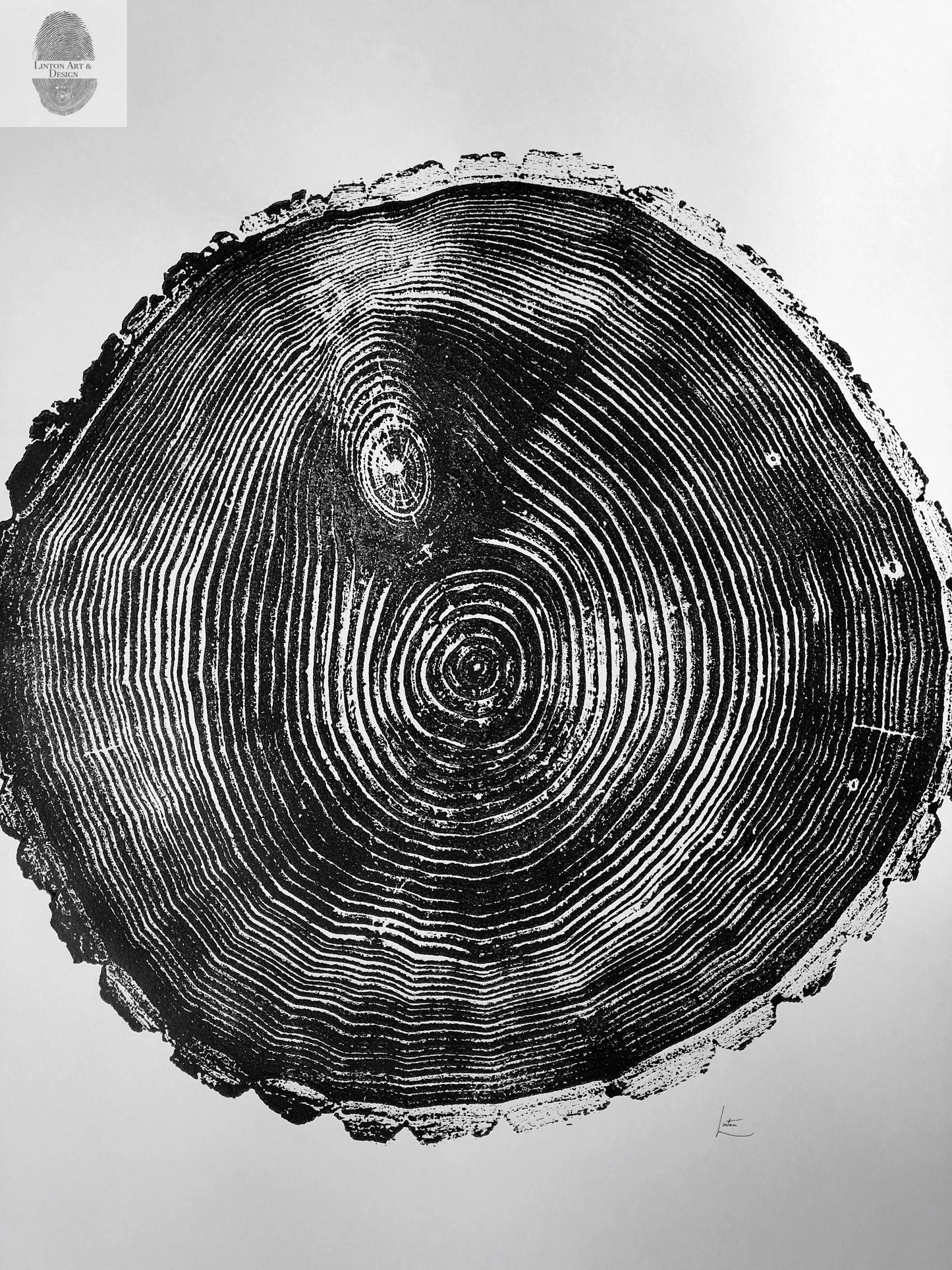 Maine Print, Balm of Gilead, Tree ring print, Maine Poster, Arcadia, Arborist, Forestry, Live Edge wood, Signed original lintonart