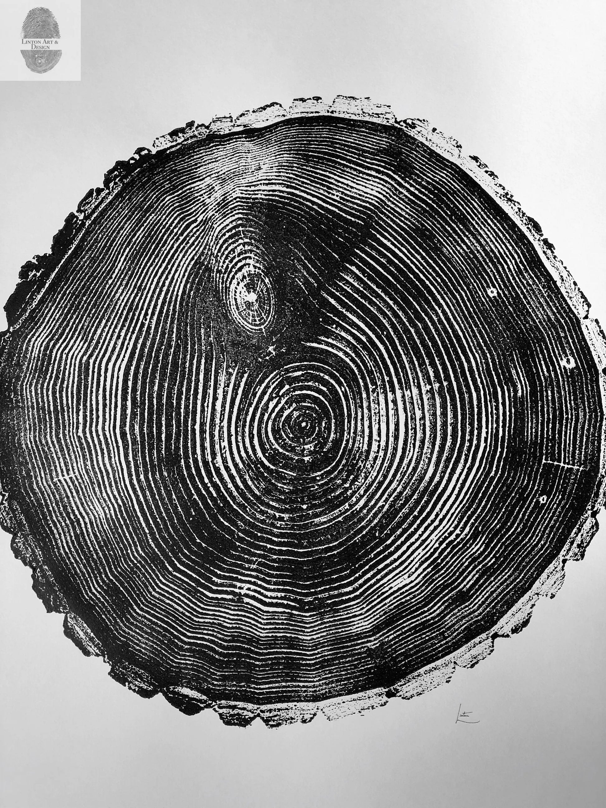Maine Print, Balm of Gilead, Tree ring print, Maine Poster, Arcadia, Arborist, Forestry, Live Edge wood, Signed original lintonart