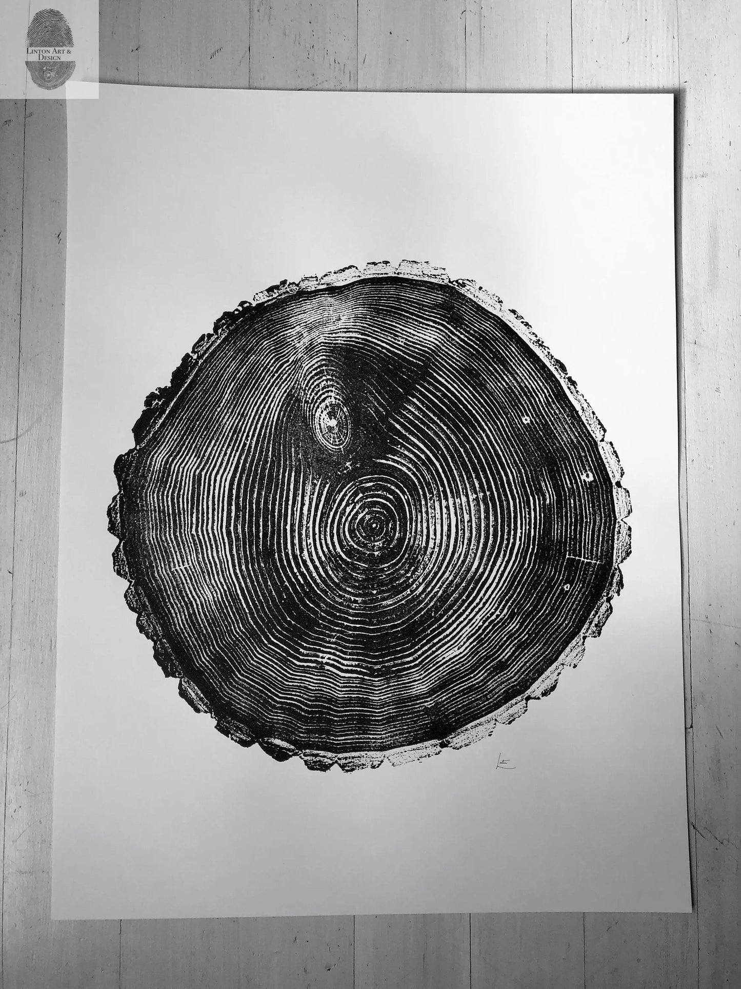 Maine Print, Balm of Gilead, Tree ring print, Maine Poster, Arcadia, Arborist, Forestry, Live Edge wood, Signed original lintonart