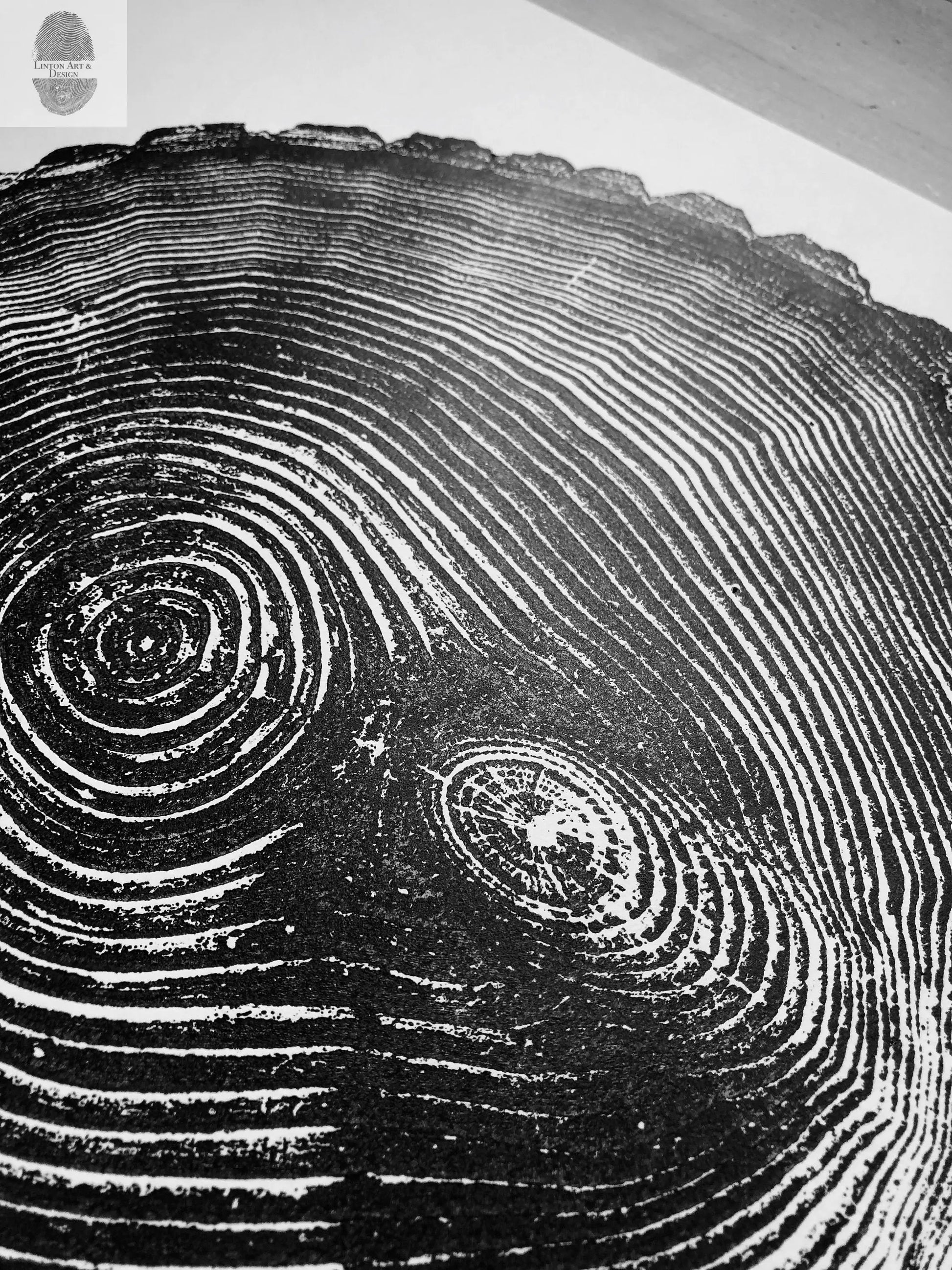Maine Print, Balm of Gilead, Tree ring print, Maine Poster, Arcadia, Arborist, Forestry, Live Edge wood, Signed original lintonart