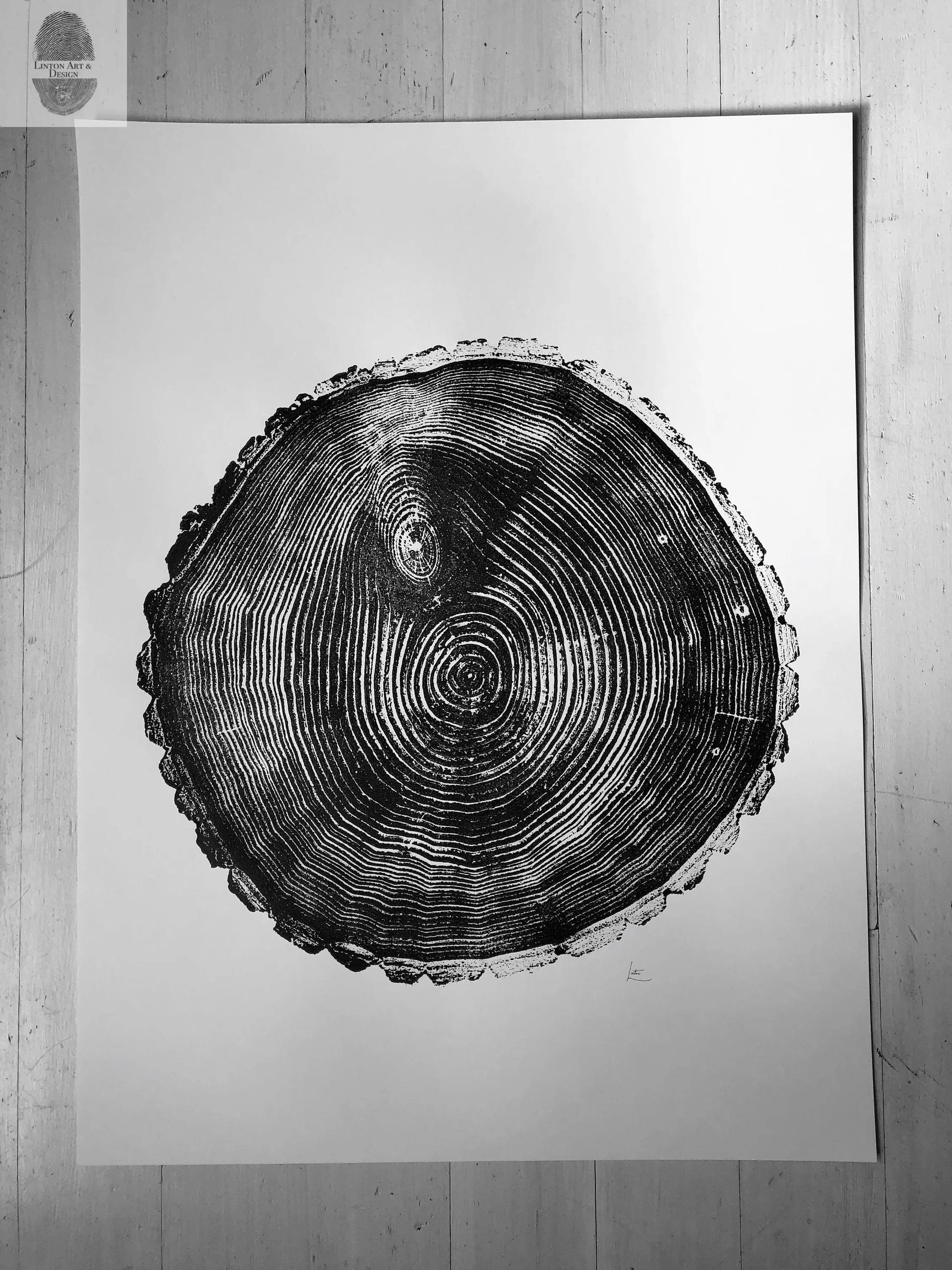 Maine Print, Balm of Gilead, Tree ring print, Maine Poster, Arcadia, Arborist, Forestry, Live Edge wood, Signed original lintonart
