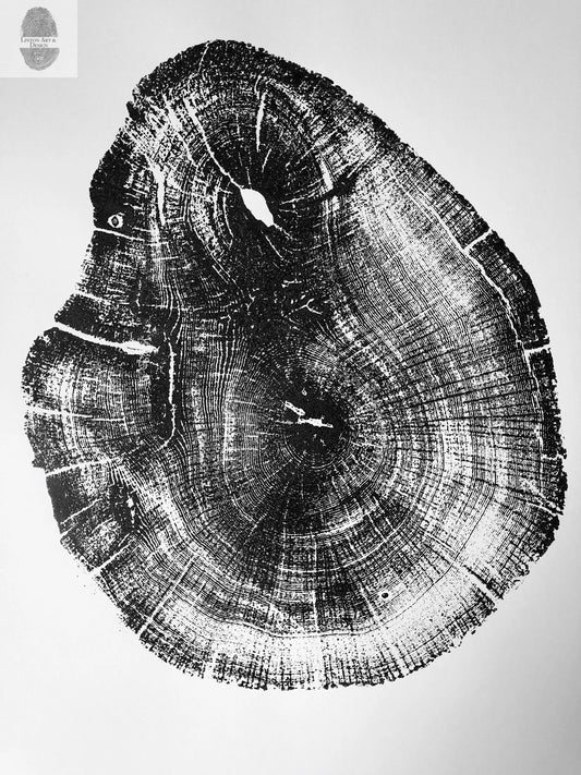 Michigan Wall Art, Lake Superior, Tree ring print, Great Lakes Print, Michigan Gift, Michigan Decor lintonart