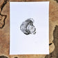 Millcreek Canyon, Utah Pine - 18x24 print lintonart