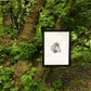 Millcreek Canyon, Utah Pine - 18x24 print lintonart