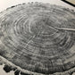 Minnesota Oak - 24x36 print lintonart