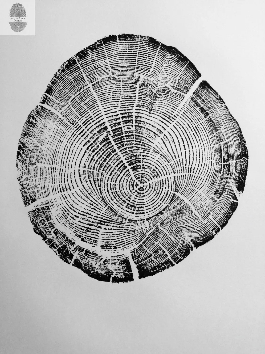 Montana Tree, Flathead Lake, Montana, Driftwood, tree stump, Montana print, forest art print, natural textures, natural patterns, LintonArt lintonart