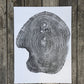 Mulberry - 18x24 print lintonart