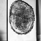 Nauvoo, Illinois Oak - 24x36 print lintonart