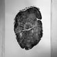 Nauvoo, Illinois Osage Orange - 18x24 print lintonart