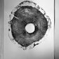 North Carolina Oak - 18x24 print lintonart