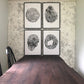 Oak, Pine, & Hemlock Set of 4 - 24x36 each print lintonart