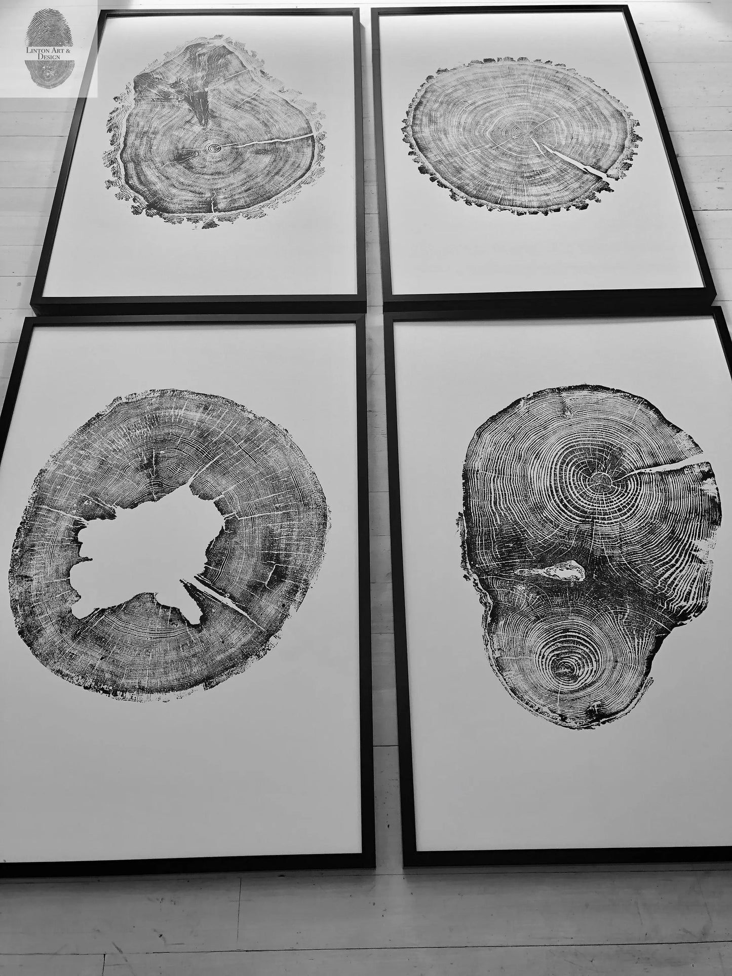 Oak, Pine, & Hemlock Set of 4 - 24x36 each print lintonart