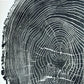 Ohio State, Ash Tree, Tree ring print, woodcut print, Lumber, Live edge, Biology Gifts, Arborist, Signed Original - 24x36 print lintonart