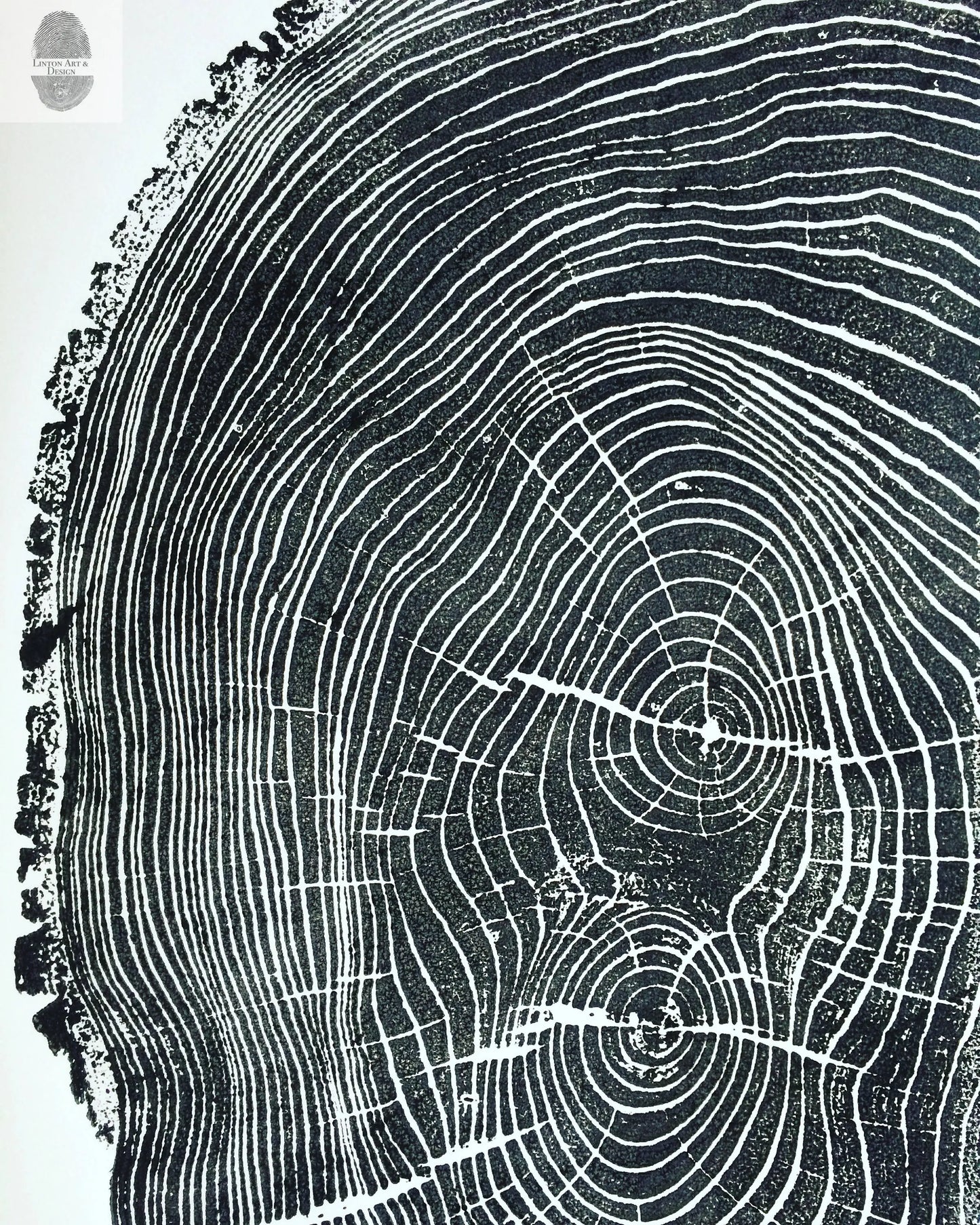 Ohio State, Ash Tree, Tree ring print, woodcut print, Lumber, Live edge, Biology Gifts, Arborist, Signed Original - 24x36 print lintonart