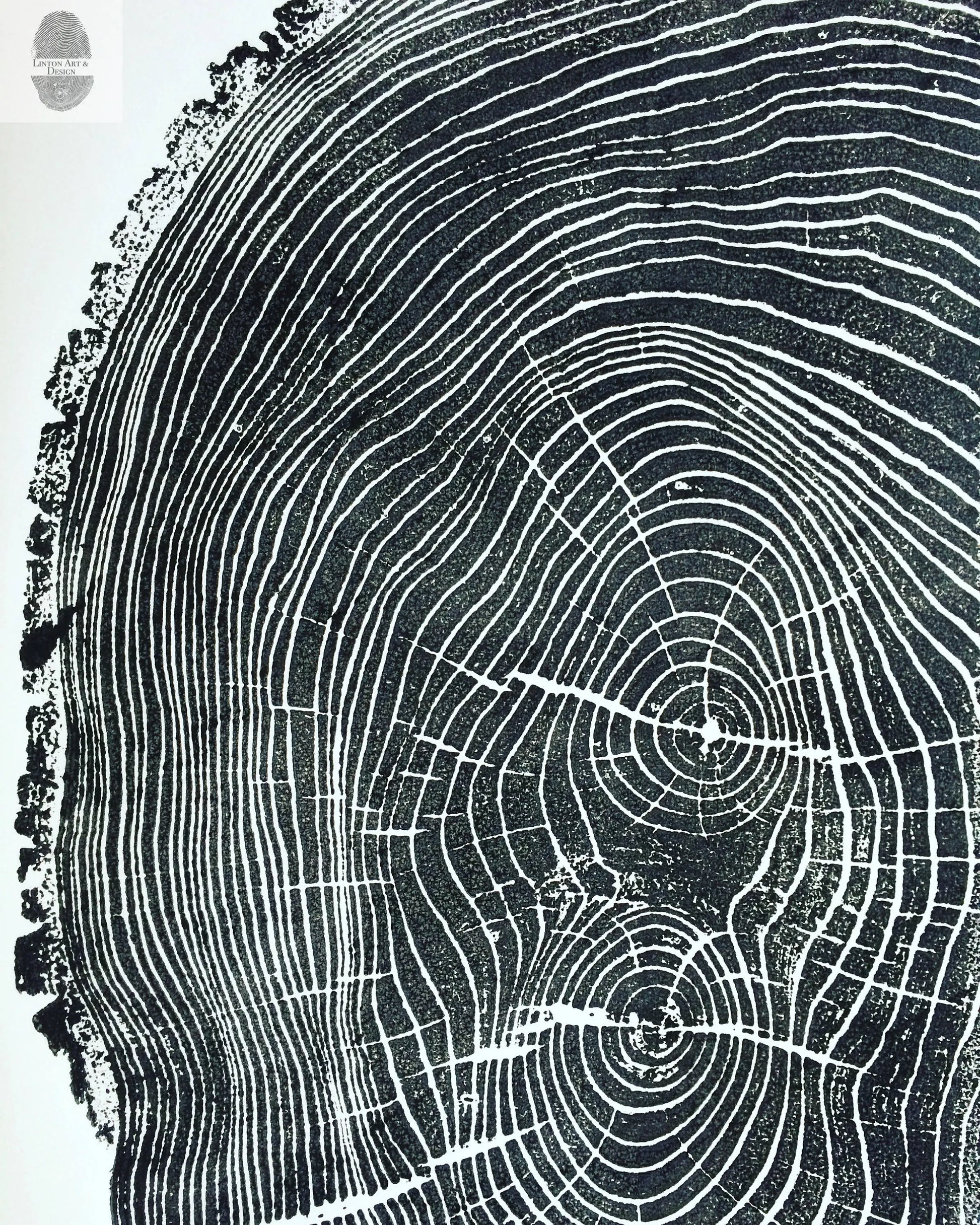 Ohio State, Ash Tree, Tree ring print, woodcut print, Lumber, Live edge, Biology Gifts, Arborist, Signed Original - 24x36 print lintonart
