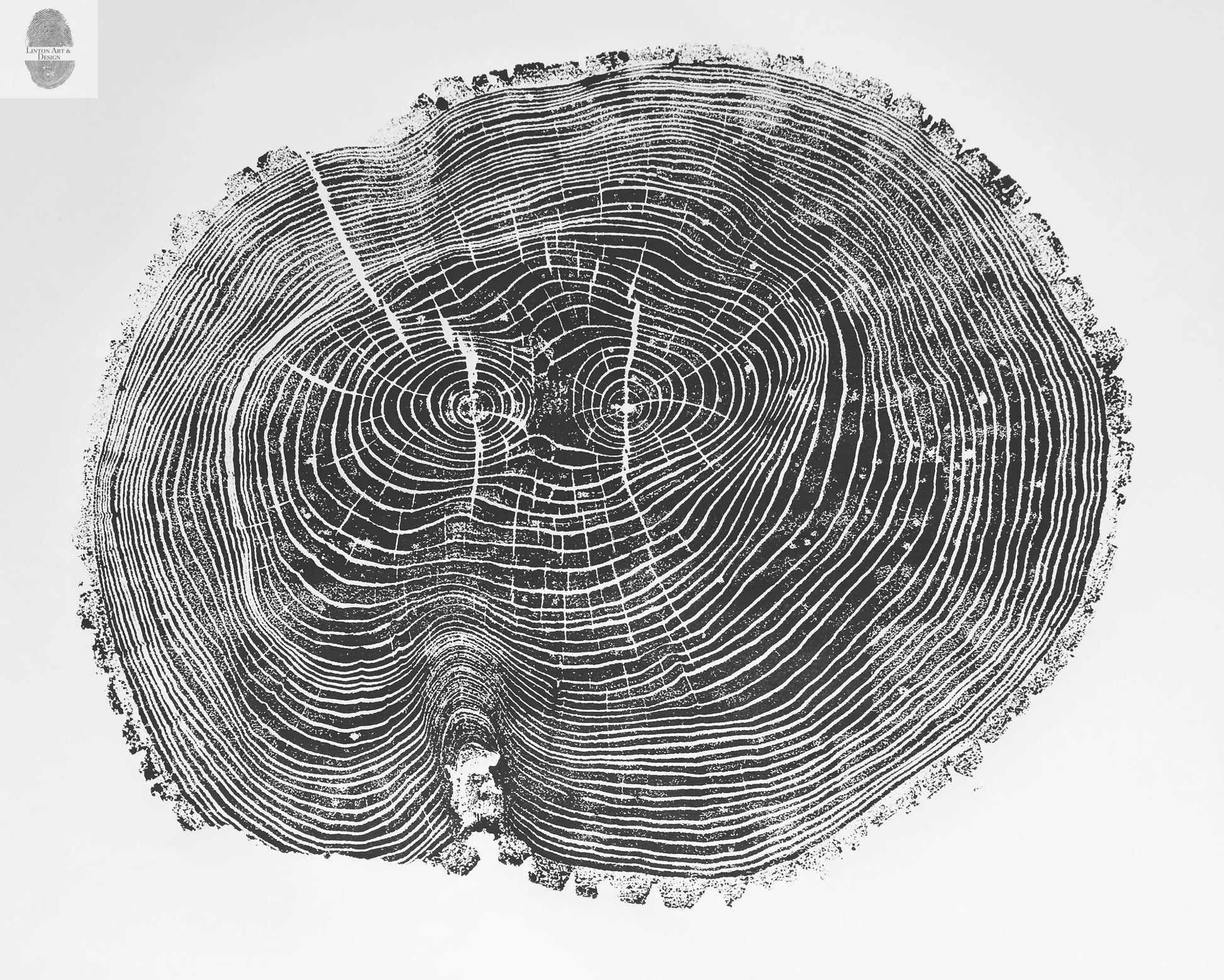 Ohio State, Ash Tree, Tree ring print, woodcut print, Lumber, Live edge, Biology Gifts, Arborist, Signed Original - 24x36 print lintonart