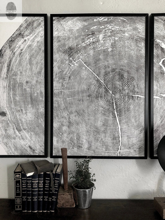 Oregon Coast Sitka Spruce Set of 3 - 24x36" prints lintonart