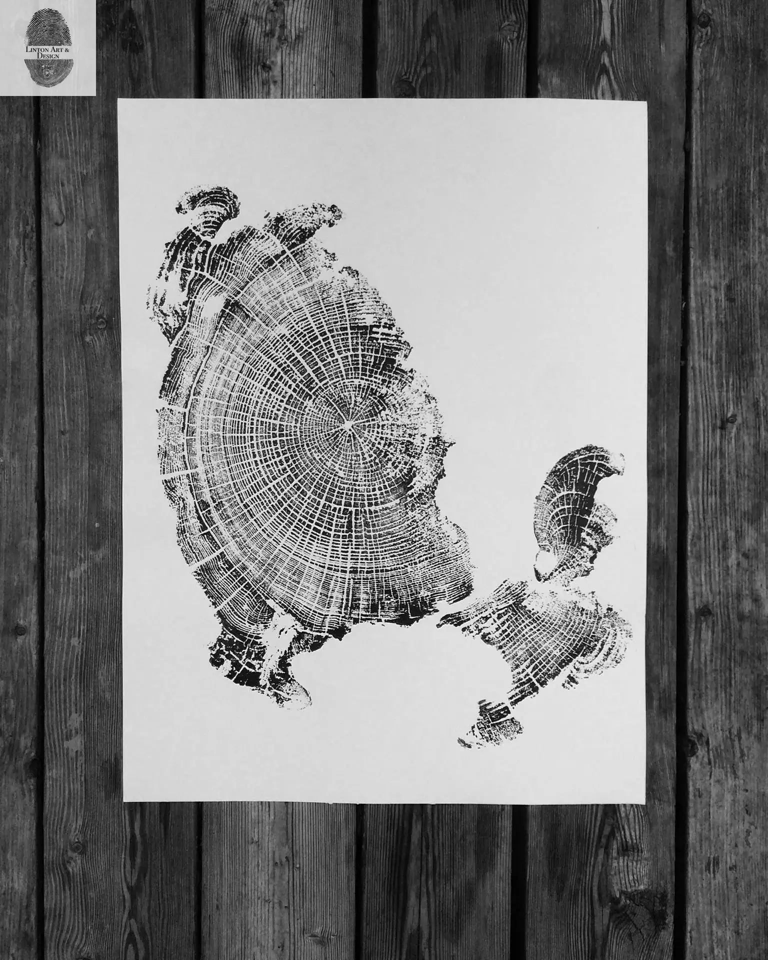 Oregon Coast, Cannon Beach, Driftwood Wall Art, Tree Ring Print, Cascade Mountains, Woodcut Art lintonart