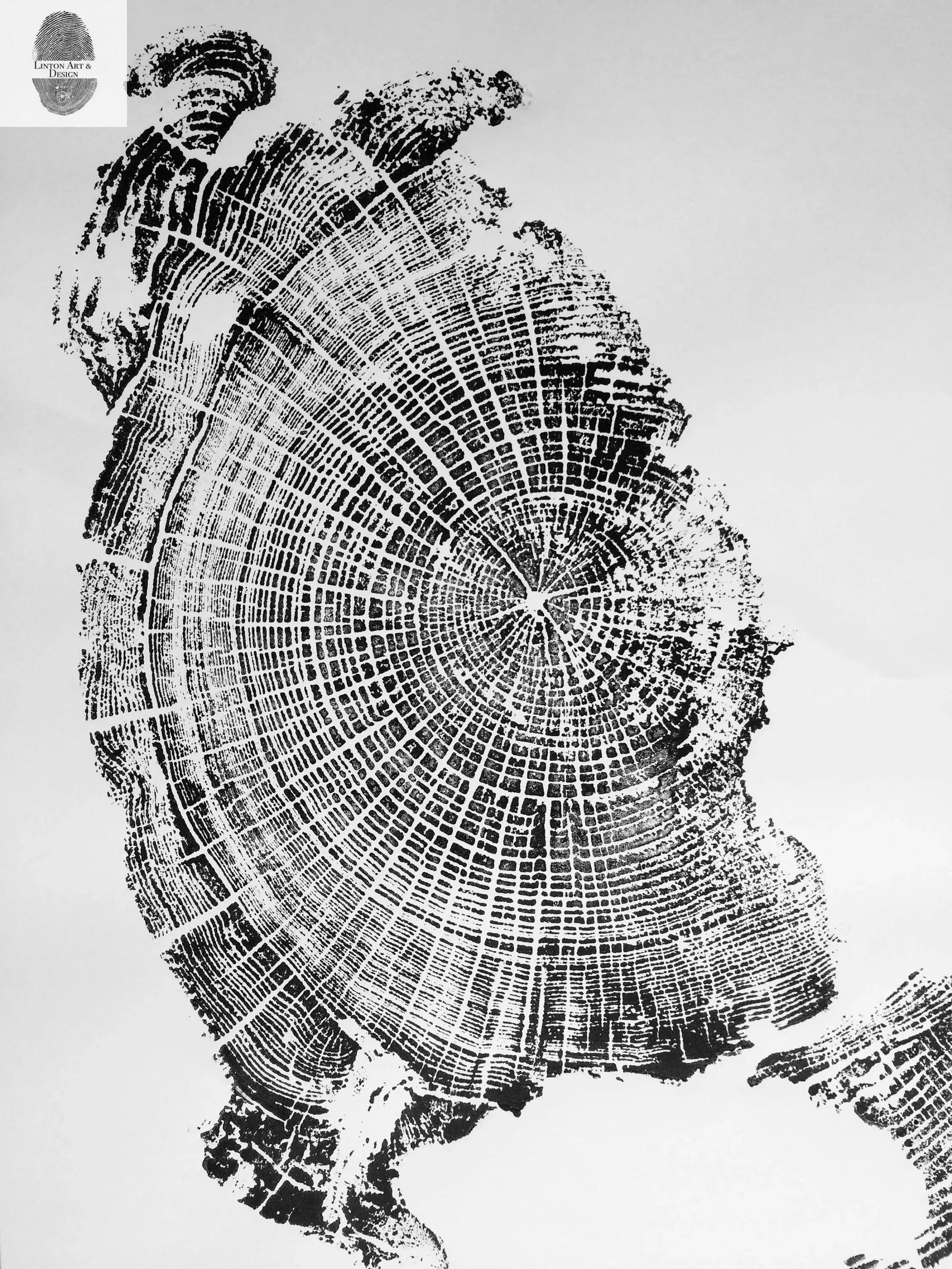 Oregon Coast, Cannon Beach, Driftwood Wall Art, Tree Ring Print, Cascade Mountains, Woodcut Art lintonart