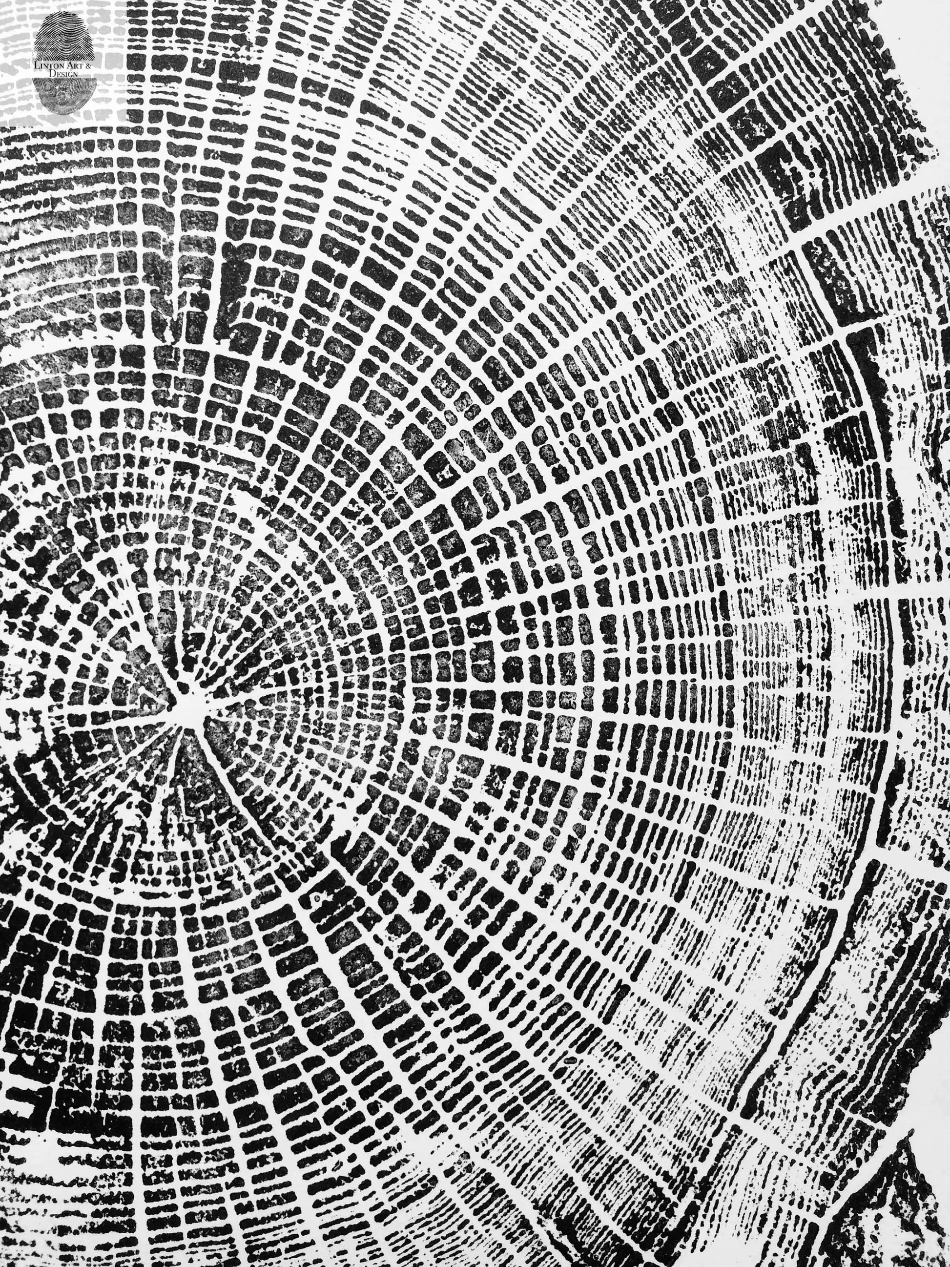 Oregon Coast, Cannon Beach, Driftwood Wall Art, Tree Ring Print, Cascade Mountains, Woodcut Art lintonart