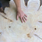 Oregon Western Red Cedar - 36x48 print lintonart