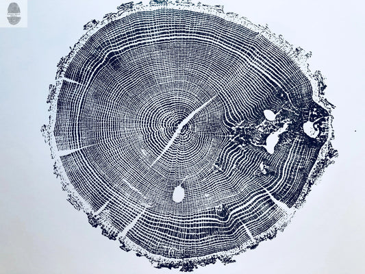 Ozark Mountains, Missouri Oak - 18x24 print lintonart