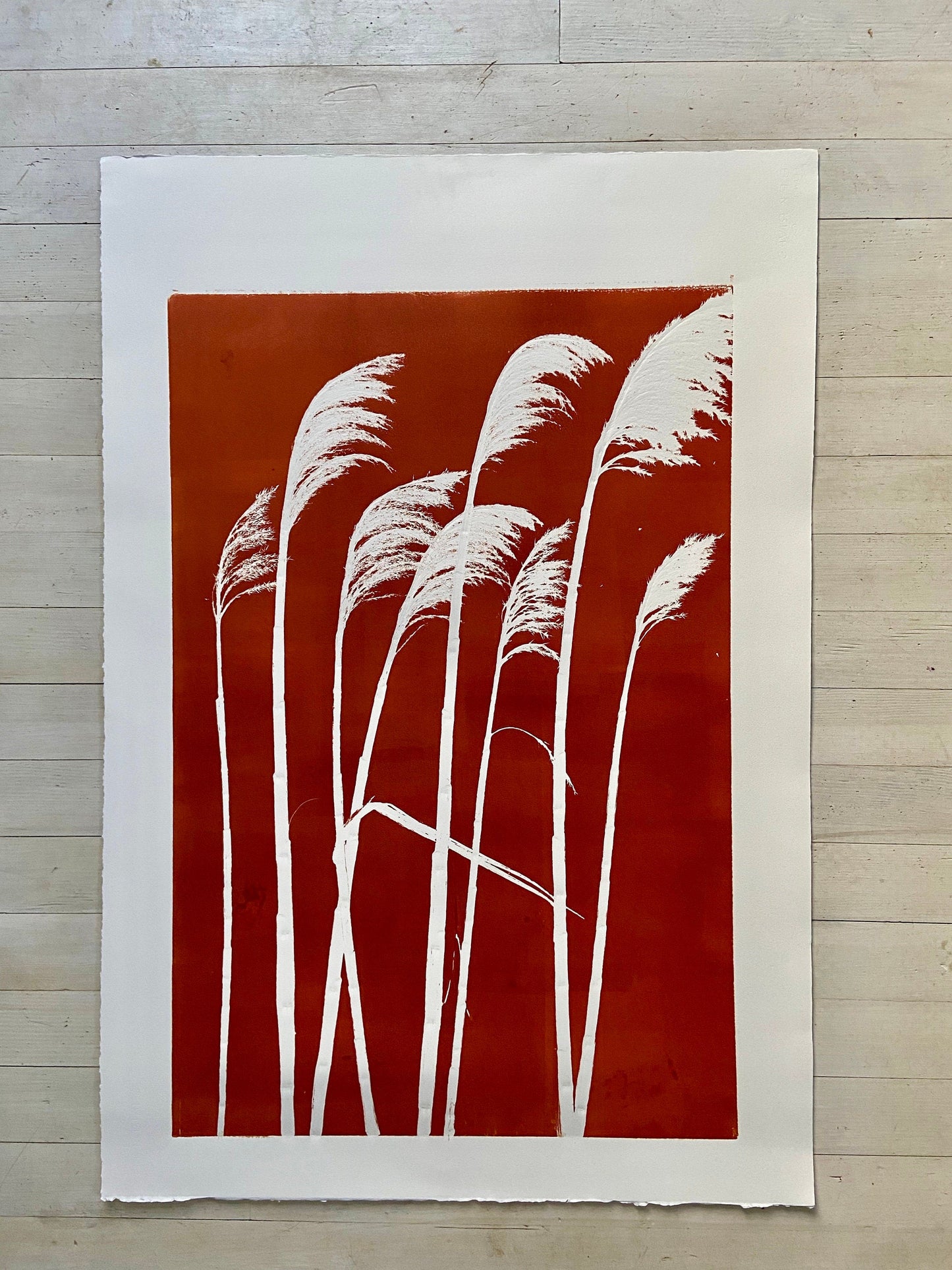 Pampas Grass Hand Pressed Botanical Monoprint on Burnt Umber - giclee print