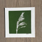 Pampas Grass Hand Pressed Botanical Monotype on Green - Original Print 9x9 inches lintonart