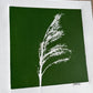Pampas Grass Hand Pressed Botanical Monotype on Green - Original Print 9x9 inches lintonart