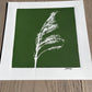 Pampas Grass Hand Pressed Botanical Monotype on Green - Original Print 9x9 inches lintonart