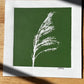 Pampas Grass Hand Pressed Botanical Monotype on Green - Original Print 9x9 inches lintonart