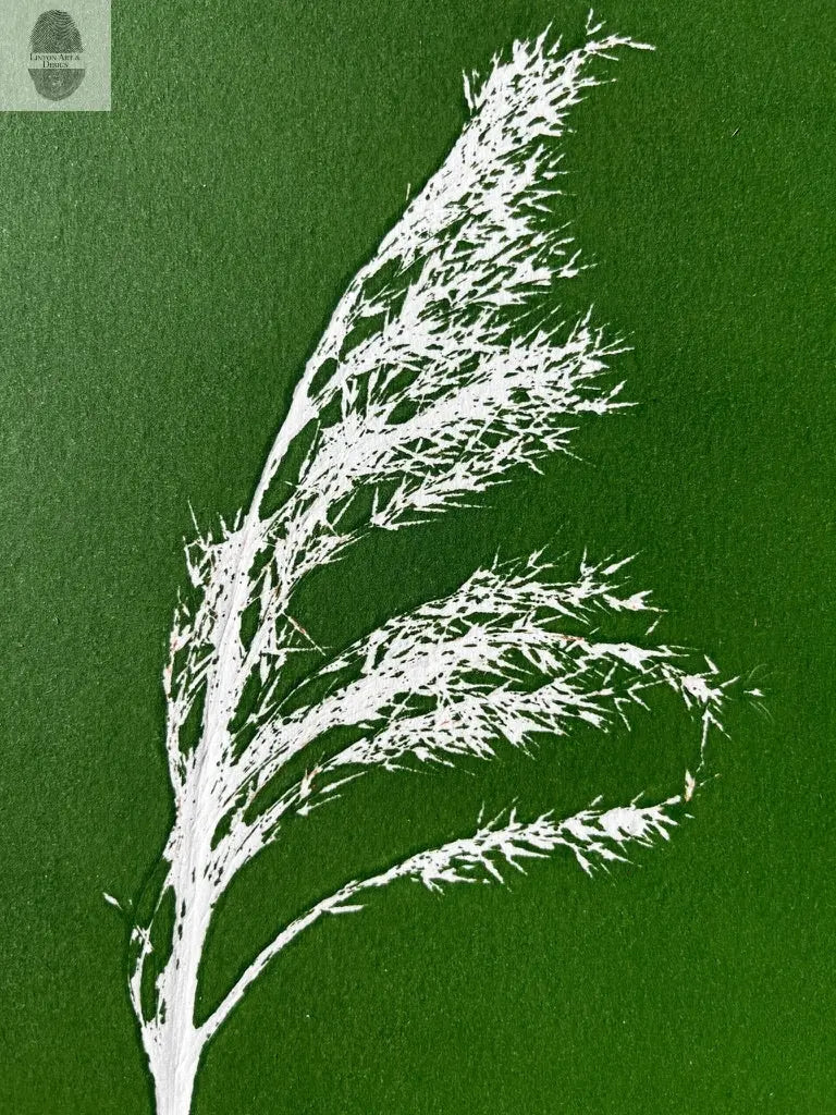Pampas Grass Hand Pressed Botanical Monotype on Green - Original Print 9x9 inches lintonart