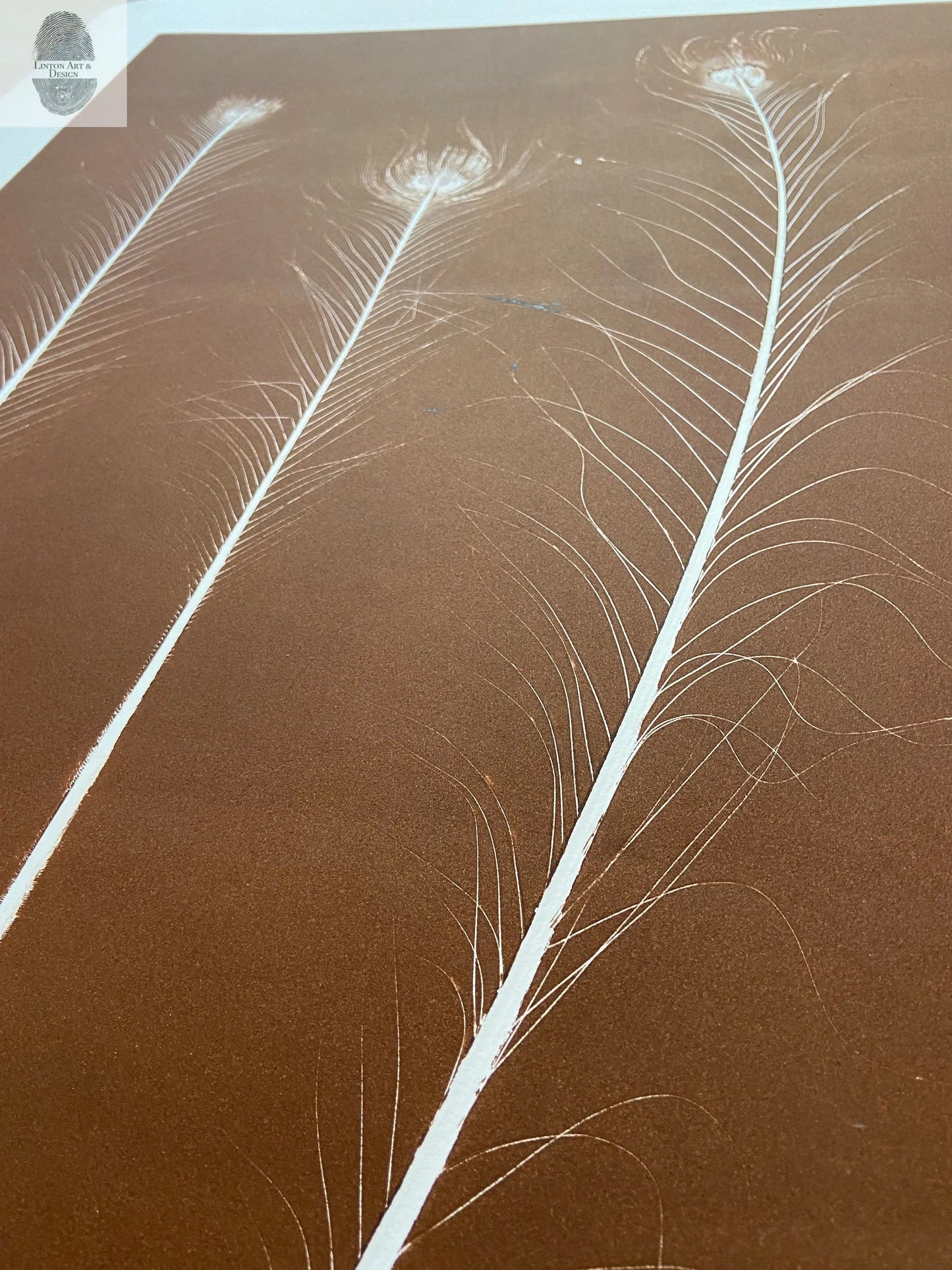 Peacock Feather Monoprint in Bronze - giclee print lintonart