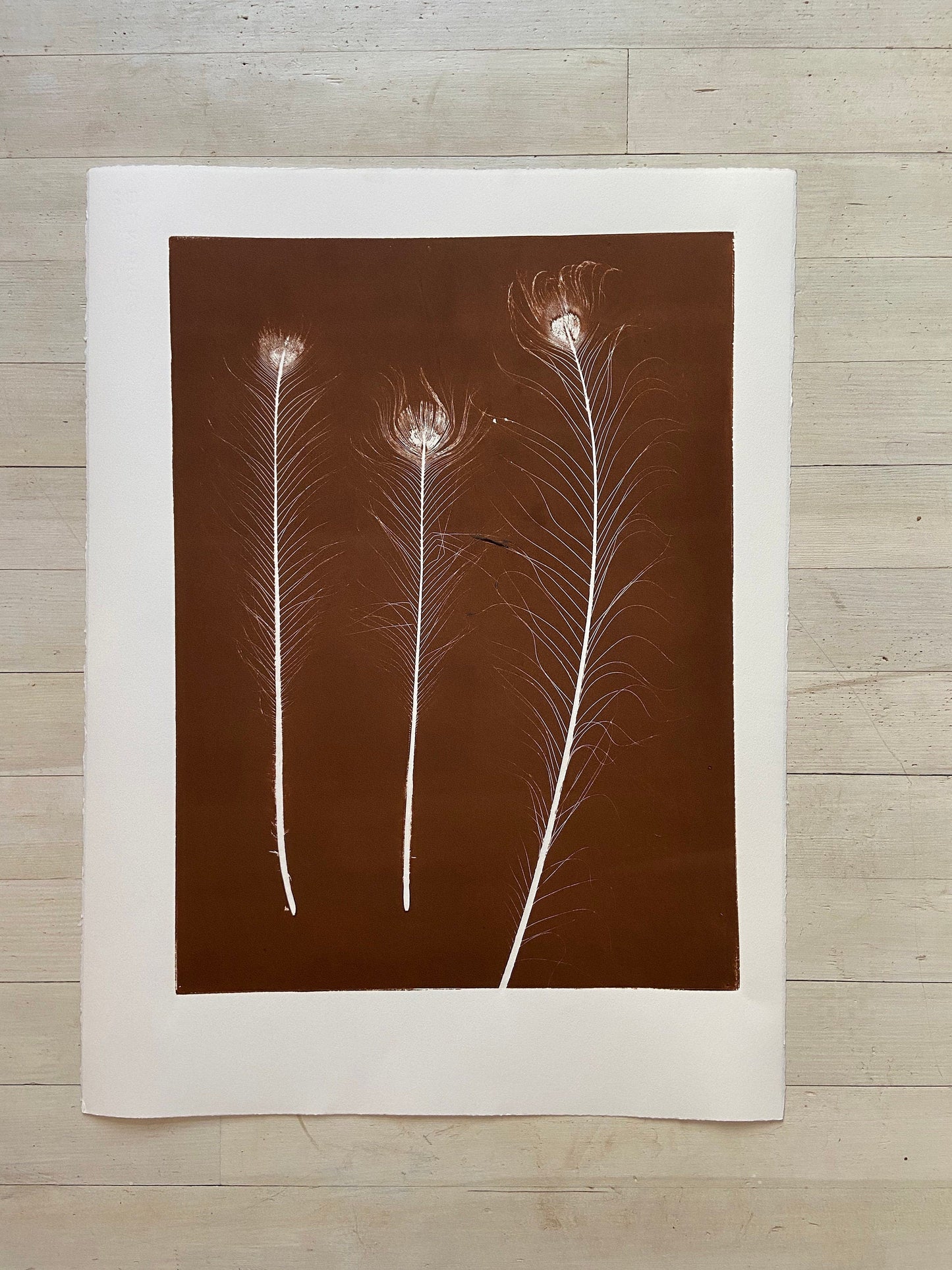 Peacock Feather Monoprint in Bronze - giclee print