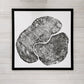 Pennsylvania Sugar Maple - 36x36 print lintonart
