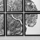 Pennsylvania Sugar Maple Set of 6 - 12x16 each print lintonart