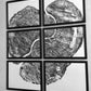 Pennsylvania Sugar Maple Set of 6 - 12x16 each print lintonart