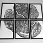 Pennsylvania Sugar Maple Set of 6 - 12x16 each print lintonart
