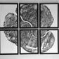 Pennsylvania Sugar Maple Set of 6 - 12x16 each print lintonart