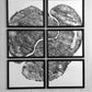 Pennsylvania Sugar Maple Set of 6 - 12x16 each print lintonart
