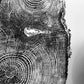Puget Sound, Seattle, Washington Hemlock - 24x36 print lintonart