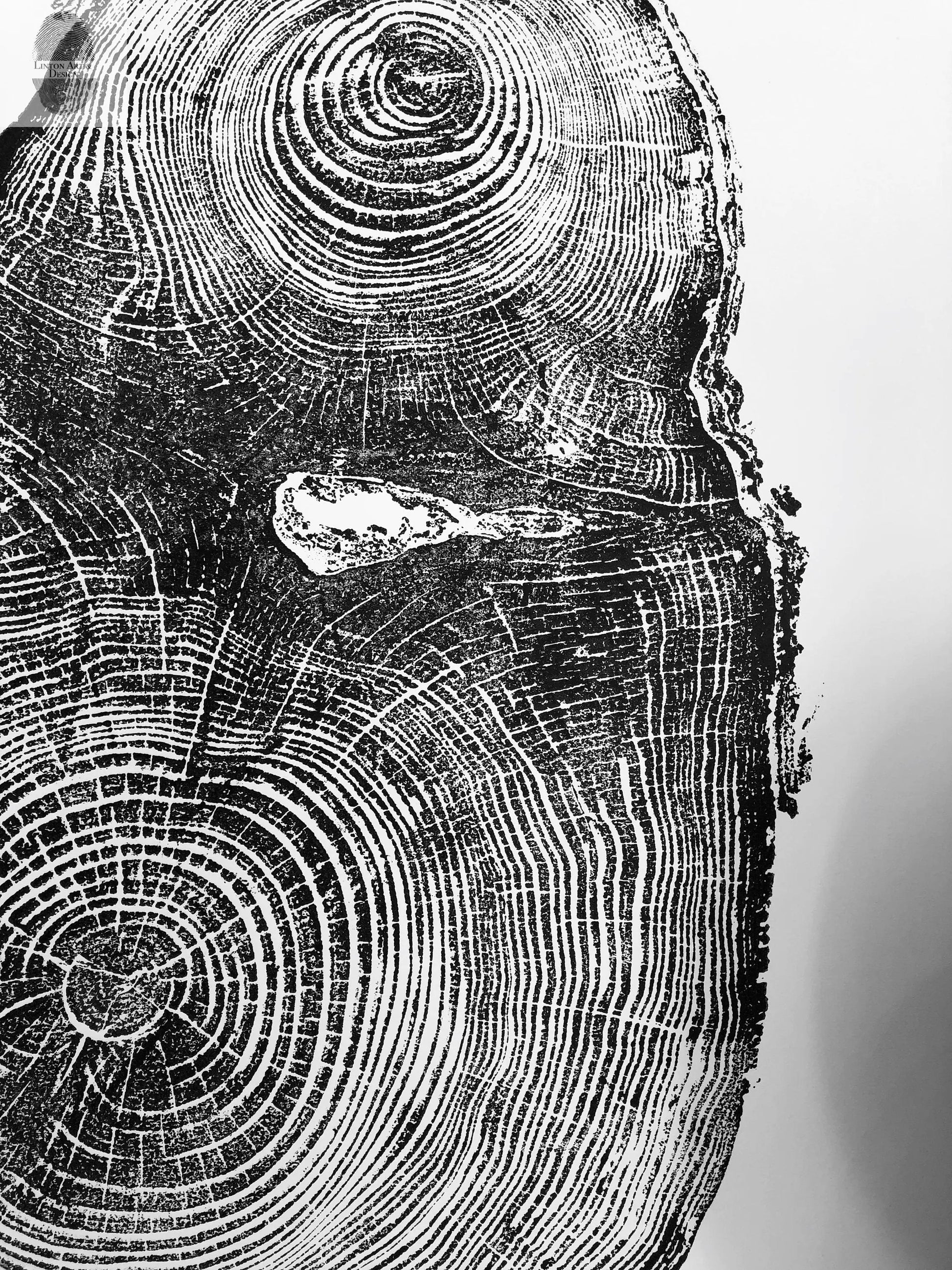 Puget Sound, Seattle, Washington Hemlock - 24x36 print lintonart