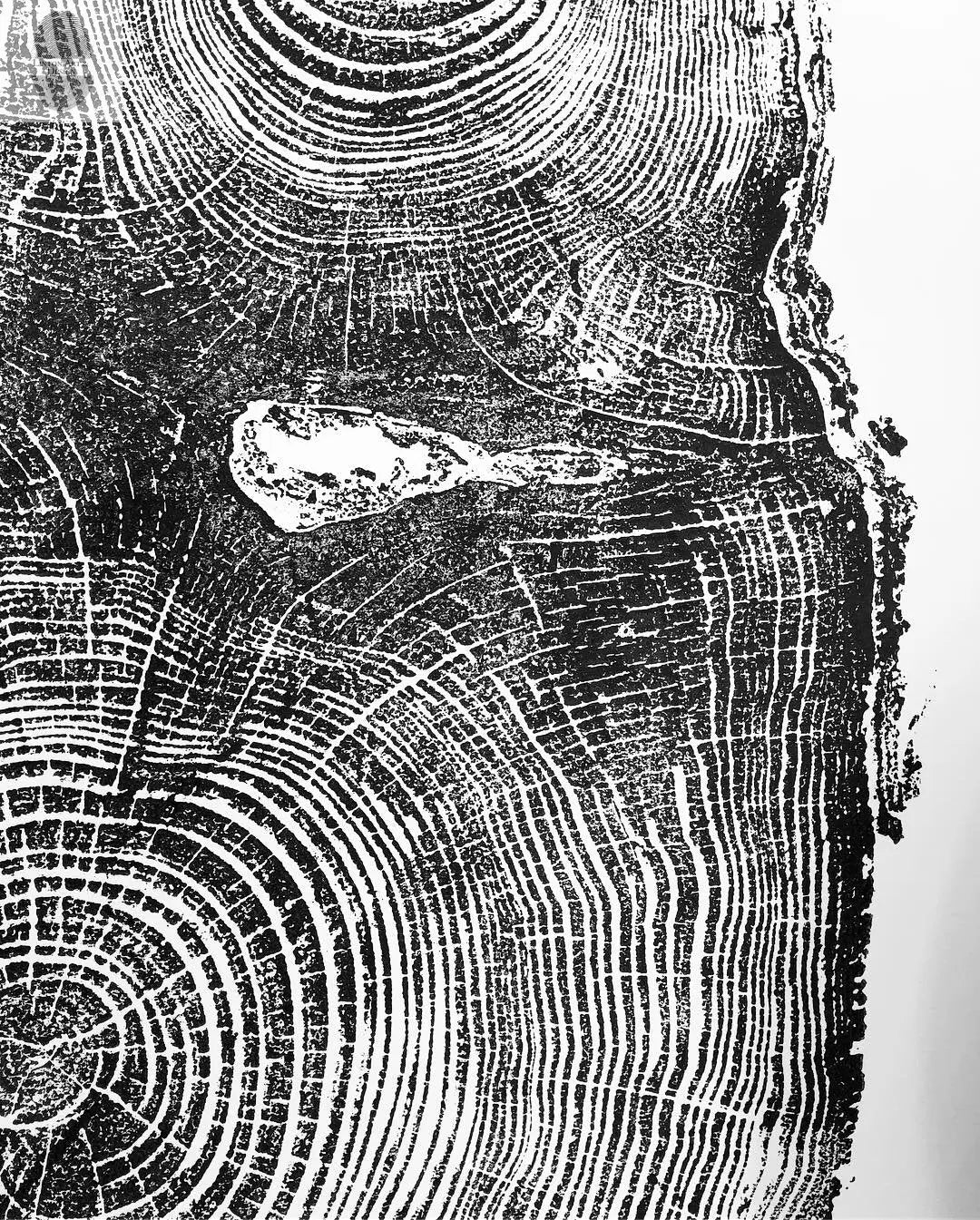Puget Sound, Seattle, Washington Hemlock - 24x36 print lintonart