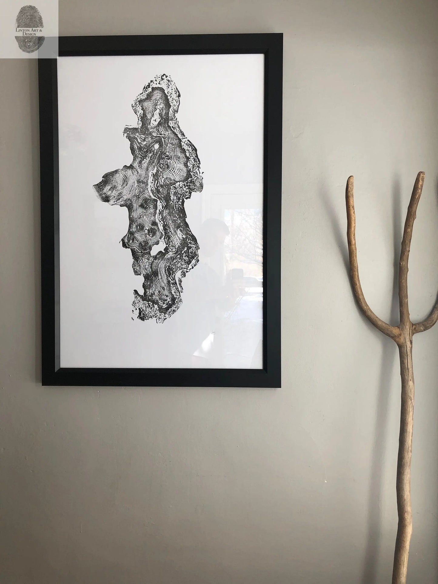 Redwood Burl, Tree Ring Print, Woodcut print, Tree of Life, , 24x36 print, Signed original Print lintonart