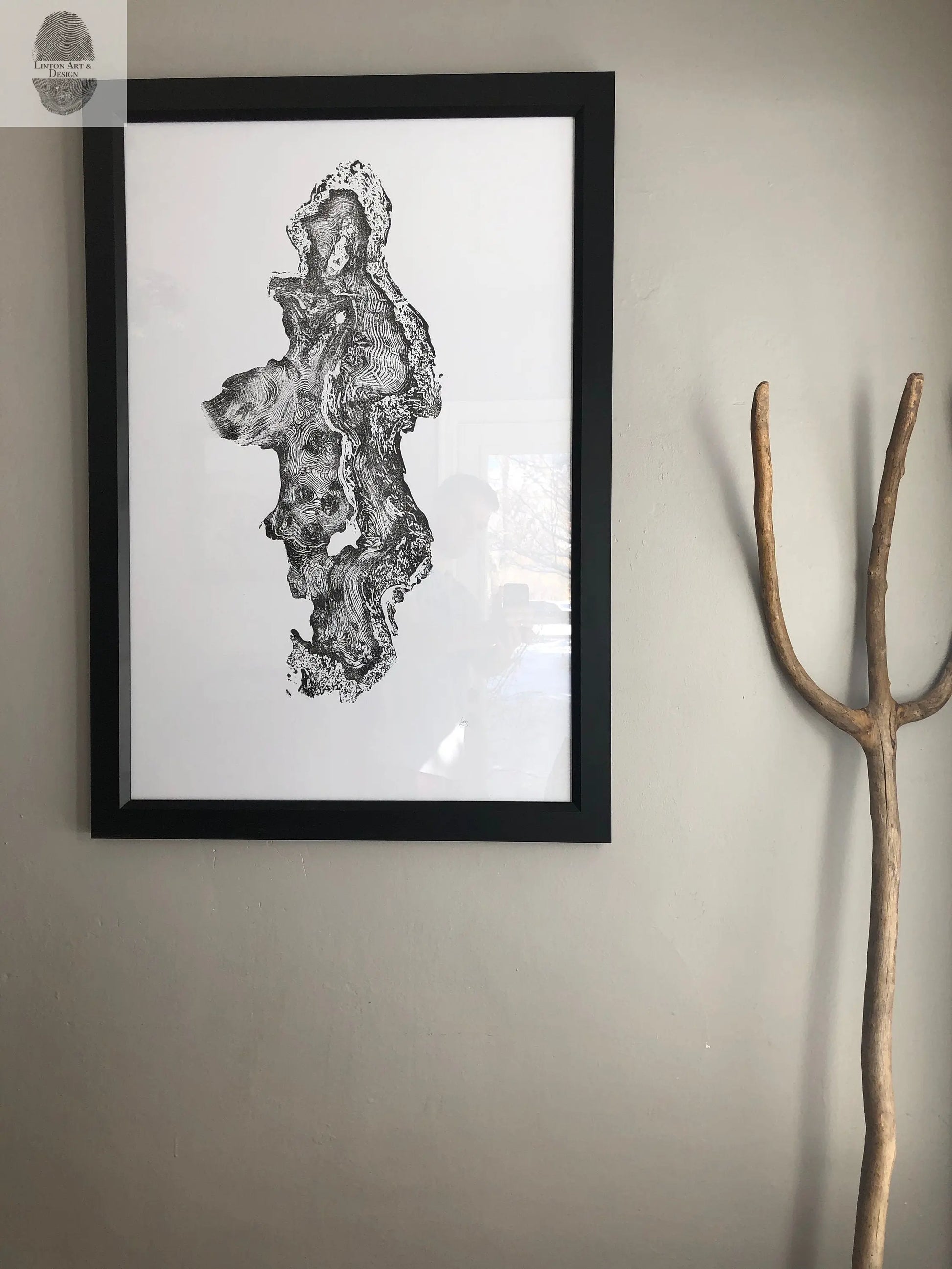 Redwood Burl, Tree Ring Print, Woodcut print, Tree of Life, , 24x36 print, Signed original Print lintonart