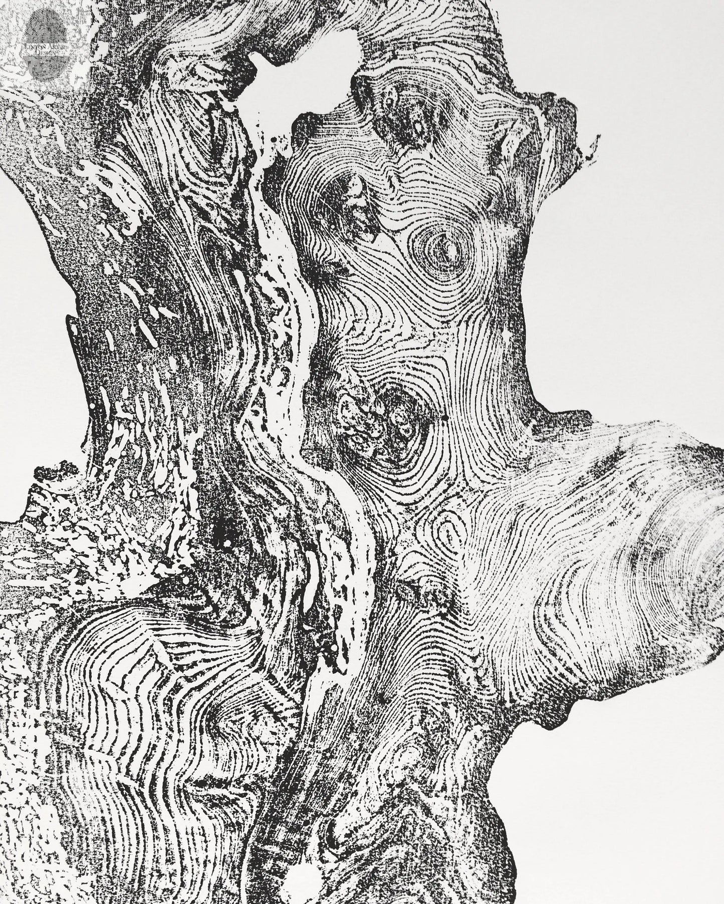 Redwood Burl, Tree Ring Print, Woodcut print, Tree of Life, , 24x36 print, Signed original Print lintonart