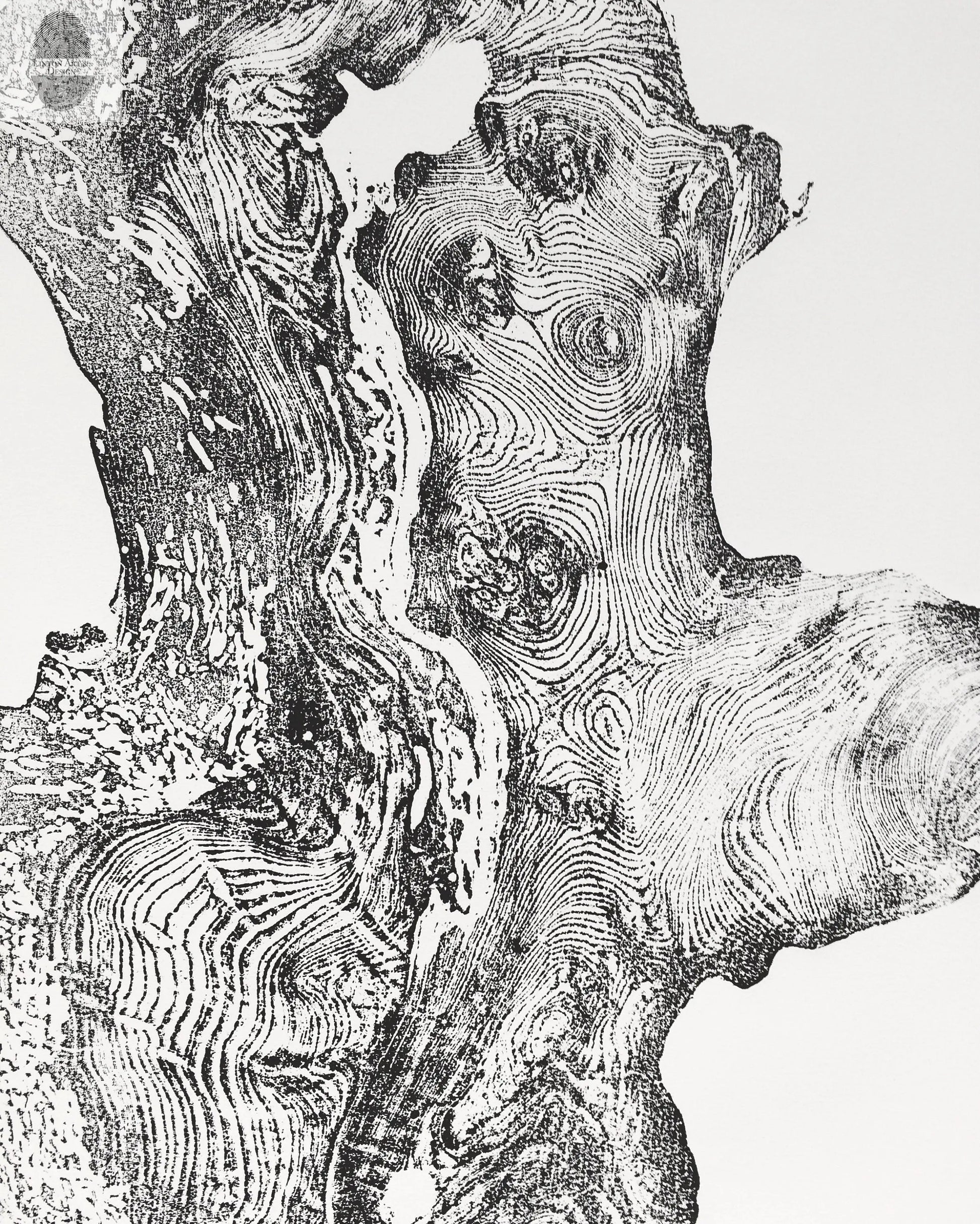 Redwood Burl, Tree Ring Print, Woodcut print, Tree of Life, , 24x36 print, Signed original Print lintonart